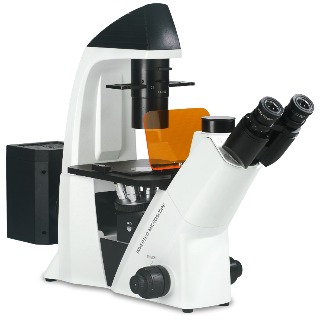 HNF400 형광현미경 배양현미경 도립형  실험실 연구실 전문가용  LED램프 미생물 배양 페트리디쉬